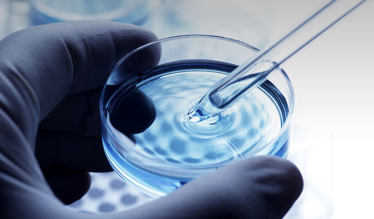 A close-up of a blue gloved hand holding a Petri dish and pipette.